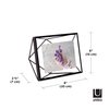 Umbra Prisma Picture Frame, 4" x 6", Black