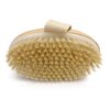Spiffy Skin Wet and Dry Body Brush Exfoliator - Medium Soft Natural Bristle - Exfoliates Dead Skin - Slows Aging - Reduces Cellulite - Stimulates Lymph and Blood Flow and increases Energy