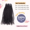 Vanalia Kinky Curly Clip In Hair Extensions For Black Women,3C 4A Hair Clip Ins,100% Remy Human Hair Double Weft Natural Black, 120 Gram,16 Inch