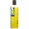 Bulk Saver Pack 9x12 FZ : Shikai Products Shower Gel - Cucumber Melon