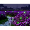Wskvlcg Outdoor Solar Powered Firefly Lights Bugs with 9 Bee, Flickering Fireflies String Lights with 9 Amusing Fireflies Bulbs for Garden Patio Lawn, Brings Back Memories of Your Childhood