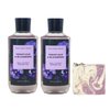 Bath & Body Works Violet Leaf & Blackberry 2 Piece Shower Gel Value Pack with a Lavender Dream Bar Soap - Full Size