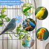 PEUTIER Parrot Spinner Toy, Medium Small Funny Parakeet Conures Toy Interactive Parrot Toy Bird Toy Spinning Rattle Cockatiel Toys Bird Cage Accessories for Entertainment Chewing Exercise