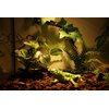 Aqua KT Reptile Terrarium Forest Tree with Plant Leaves for Amphibian Habitat Décor Lizard Snake Turtle Supplies