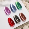 Double Rhythm Cat Eye Gel Nail Polish Set of 6 Colors Shimmer Glitter with Magnet 9D Holographic Reflective Magnetic Nail Polish Kit (Red Black Brown Purple Blue Green-Kit 26)