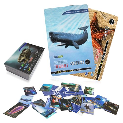 AMINFUN 55PCS Ocean Animals Learning Recognition Flash Cards, Marine Animal Halobios Fan Collectible Cards, Undersea Animals Flash Card, Educational Learning Toys for Kids, Gift for Boys and Girls