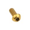 Wanyifa 4Pcs Titanium M5 x 12mm Holder Torx Head Bolt Screw for Bicycle Water Bottle Cage (Gold)
