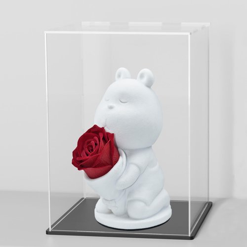 HEMYLU Acrylic Display Case with Black Base, Self-Assembly Clear Acrylic Display Box with Lid, 6 Inch (L&W) X 7.8 Inch (H) Cube Countertop Box for Collectibles, Organization & Showcase (6x6x7.8 inch)