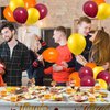 Fall Thanksgiving Party Supplies Set, Thanksgiving Tableware Set with Thanksgiving Plates and Napkins Forks Tablecloths Balloons Cake Toppers for Fall Thanksgiving Theme Party Decoration,Serves 24