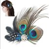 Comidox Hair Clip, Cute Peacock Feather with Rhinestones, Charming Peacock Headpiece Feather Hair Accessories for Women, Weddings, Parties, Halloween, Set of 2