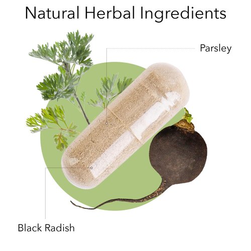 Kroeger Herb, Radish and Parsley Supplement, Immunity Support, Liver Health and Gallbladder Support with Black Radish, Vegetarian, Non-GMO, Gluten Free, No Preservatives or Fillers - 100 Capsules