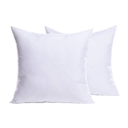 MIULEE Set of 2 Throw Pillow Inserts Premium Pillow Stuffer Square Form for Decorative Cushion Bed Couch Sofa 18x18 Inch