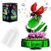Mould King Insect Collections Ladybug Building Sets with Flower Building Blocks, Ladybugs Building Kits for Adults and Kid Boys Girls 8 9 10, 455 Pieces Natural Style STEM Toy Music Box with Lights
