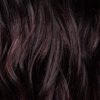 Ion 5WR Light Gold Mahogany Brown Permanent Creme Hair Color 5WR Light Gold Mahogany Brown