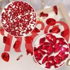 qiipii 2052Pcs Red Nail Art Rhinestones Multi Shapes Crystal Flatback Rhinestones Gems Siam Red Round Beads K9 Glass Stones Diamonds Jewels Nail Art Supplies Charms for Nails Faces Eyes Makeup Crafts