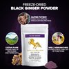 Addictive Wellness Thai Black Ginger for Men, Thai Black Ginger Supplement to Support Energy Metabolism, Endurance & Performance, Freeze Dried Black Ginger Powder, 50 Grams (1.76 Ounce), Vegan & Paleo