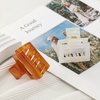 2 Pcs Medium Hair Claw Clips for Women Small Rectangle Claw Hair Clips for Thin Fine Medium Thick Hair Non Slip