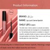 12 Color Cream Lip Gloss, Sexy Women Lipstick, Velvet Cream Lip Gloss, Moisturising Mirror Liquid Lipstick, Non-Fading, Non-Stick to Cup, Highly Pigmented Color, 2024 New Waterproof Lip Gloss(06#)