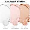 FREEORR Pink Setting Loose Face Powder, Oil Control Minimize Pore, Loose Baking Face Setting Powder Makeup, Soft Focus Make Up Setting Powder, Matte Flawless Finish,8g (02 Pink Complexion)