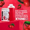Xtend XTEND Original BCAA Powder Airheads Candy Flavor, 7g BCAA and 2.5g L-Glutamine, Sugar Free Post Workout Muscle Recovery Drink with Amino Acids for Men & Women, 30 Servings