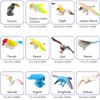 PINOWU Birds Figurines (12pcs), Realistic Eagle Parrot Toucan Pigeon Owl Toy Birds, Learning Educational Toys for Dollhouse Birthday Cake Topper Gift for Kids Toddler w/Storage Bag