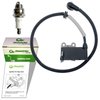 Zhongfatec-366-XHHS 502846401 Ignition Module Coils and Spark Plug fit for Husqvarna Backpack Blower 150BF,350BF,350BT Replaces coil 511492901