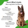 Pet Wellbeing Lung Gold for Dogs - Vet-Formulated - Lung & Respiratory Immune Support, Open Airways, Easy Breathing - Natural Herbal Supplement 2 oz (59 ml)
