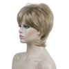 Aimole Short Layered Straight Wigs Synthetic Women's Wig Full Hair (H16-613)