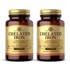 Solgar - Chelated Iron Tablets 100 Count, Promotes red Blood Cell Production & Produces Healthy Energy - 2 Pack