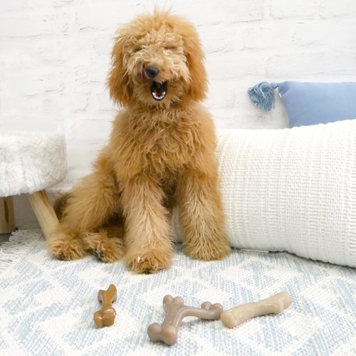 Nylabone Puppy Gourmet Style Strong Chew Toy Bacon, Chicken, Peanut Butter Puppy Gourmet Bundle, Set of 3 (Pack of 1)