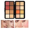 RoseFlower 16 Colors Makeup Palette, Full Size, Includes Face Bronzer, Blush, Conceal, Highlighter, Contour, Eyeshadow, 10 Makeup Brushes, for Travel, Holiday, Professional, Daily Use, Christmas