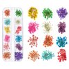 TEOYALL 24 Colors Dried Flowers for Nail Art, 2 Boxes 3D Dry Flowers Nail Stickers Colorful Natural Real Flower Nail Decals