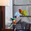PEUTIER Parrot Spinner Toy, Medium Small Funny Parakeet Conures Toy Interactive Parrot Toy Bird Toy Spinning Rattle Cockatiel Toys Bird Cage Accessories for Entertainment Chewing Exercise