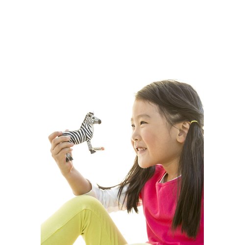 Schleich Wild Life, Animal Figurine, Animal Toys for Boys and Girls 3-8 Years Old, Zebra Foal, Ages 3+