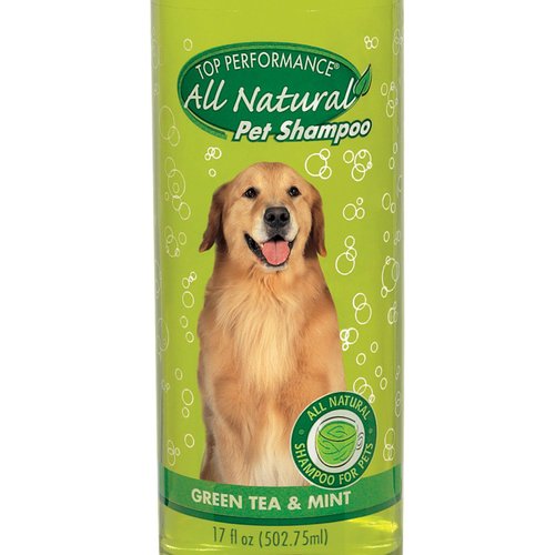 Top Performance Green Tea and Mint Shampoo for Puppies and Kittens – Natural Shampoo to Safely Bathe Young Pets, 17 Oz.