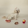 Fringe Studio Plush Dog Toy Set, Fast Foods, 3 Piece Set, for Small Dogs (289504)