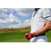 Zero Friction Men's Golf Gloves, Left Hand, One Size, Red