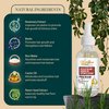 Rosemary and Biotin Organic Pre-Wash Scalp Oil and Hair Treatment Oil: Pre Shampoo Dry Scalp Treatment, Hair Growth Stimulator Serum For Healthy Scalp & Less Hair Fall and Breakage. 2 Fl Oz.