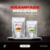 Krampade Whey Protein Electrolytes Powder | 30g Protein & 7g BCAA + 2,000mg Potassium Supplement + Magnesium | >2X More K+ Than Coconut Water