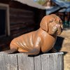 Randimals Sea Lion Figurine Toy Mastiff Dog Face 5”, Premium Hard Rubber Animal Action Figure Toy, Hybrid Friend Encourages Adventure & Imagination
