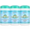 Citrus II Cpap Mask Wipes Qty: 62 Wipes - Pack of 3