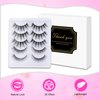 False Eyelashes Looks So Natural Wispy Lashes Includes 5 Pairs Of Lashes Reusable Strip Lashes Easy to Apply Glue On