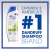 Head and Shoulders Green Apple Daily-Use Anti-Dandruff Shampoo, 13.5 fl oz