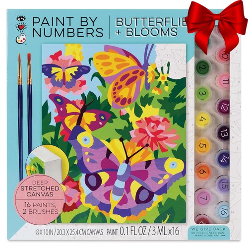 Bright Stripes Paint by Numbers Kit for Kids: Easy to Follow Paint by Numbers Canvas with Frame Kids Paint Kit (Paint by Numbers Butterflies + Blooms)
