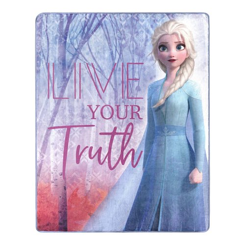 Northwest Frozen Silk Touch Throw Blanket, 40" x 50", Living Truth