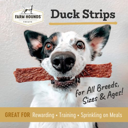 Farm Hounds Duck Strips for Dogs, Natural & Healthy Dog Jerky Treats, Dog Chews & Snacks for Training & Rewarding, Made in USA, Duck Strip Treat, 4.5oz