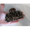 Painted curvy snake like acrylic hair claw clamp clips for thick hair (Primary color: Gray)