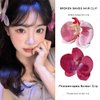 6Pcs Orchid Flower Hair Clips for Girls Flower Hair Clips for Women Hawaiian Hair Accessories Sweet Side Clips Hair Barrettes Wedding Hair Pins