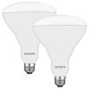 LUXRITE BR40 LED Light Bulbs, 85W Equivalent, 2700K Warm White, Dimmable, 1100 Lumens, LED Flood Light Bulb, 13W, E26 Medium Base, Indoor/Outdoor - Perfect for Office and Recessed Lighting (2 Pack)