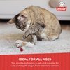 Multipet Lamb Chop Cat Plush Toy w/Catnip - Small Cat Chew Toy for All Cats - Extra Soft Plush Cat Toy - Stuffed Animal Kitten Toy for Cuddling & Playing - Cute Pet Toy (4”, Cream)